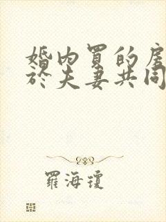 婚内买的房子属于夫妻共同财产吗