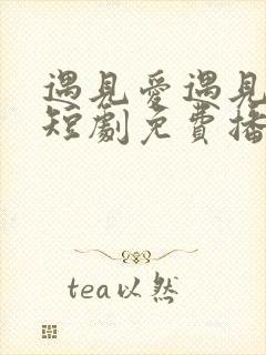 遇见爱遇见幸福短剧免费播放第1集