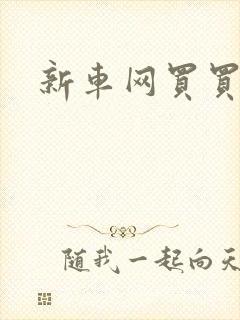 新车网买买车