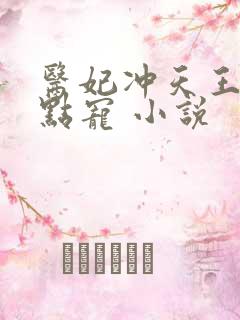 医妃冲天王爷轻点宠 小说