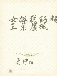 女总裁的超级兵王叶尘枫