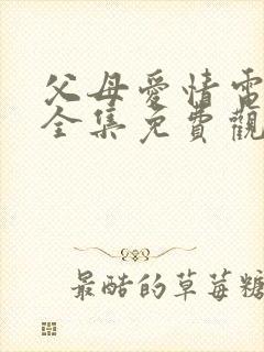 父母爱情电视剧全集免费观看高清