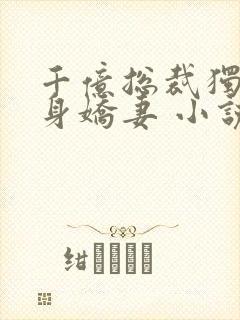 千亿总裁独宠替身娇妻 小说完整