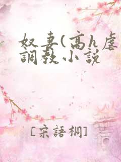 奴妻(高h虐身调教小说