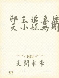 邪王追妻废材逆天小姐无删减