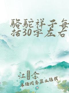 骆驼祥子每章概括30字左右