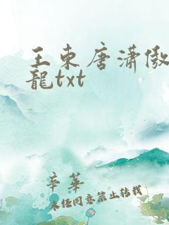 王东唐潇傲世潜龙txt
