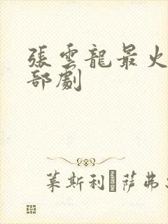 张云龙最火的三部剧