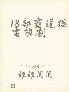 18部霸道总裁电视剧