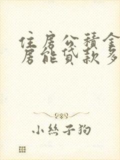 住房公积金二套房能贷款多少