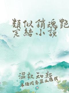 类似销魂艳婢的完结小说