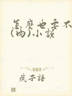 怎么也要不够她(肉)小说