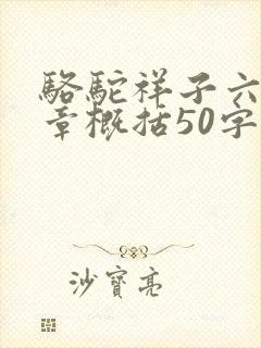 骆驼祥子六到十章概括50字