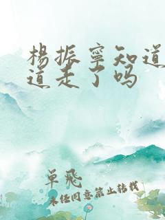 杨振宁知道李政道走了吗