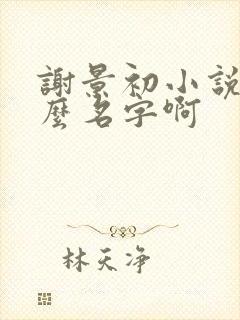 谢景初小说叫什么名字啊