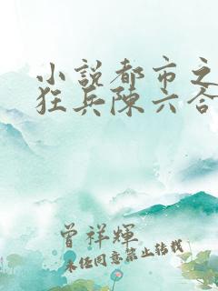 小说都市之最强狂兵陈六合