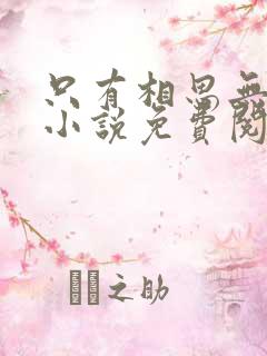 只有相思无尽处小说免费阅读