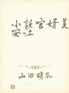 小说官婿美人图安江