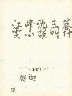 江峰沈玉蓉方雅雯小说叫什么