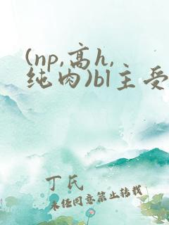 (np,高h,纯肉)bl主受