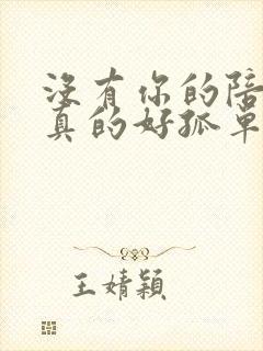 没有你的陪伴我真的好孤单原唱