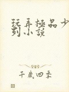 玩弄极品少妇系列小说