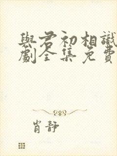 与君初相识电视剧全集免费观看