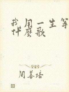 我用一生等你是什么歌