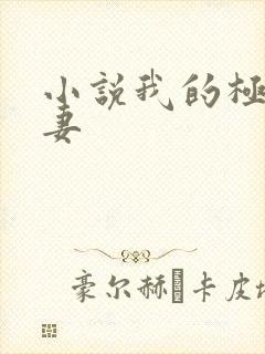 小说我的极品娇妻