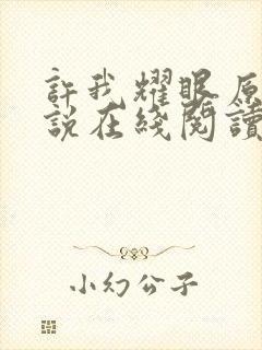 许我耀眼原著小说在线阅读