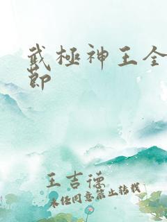 武极神王全部章节