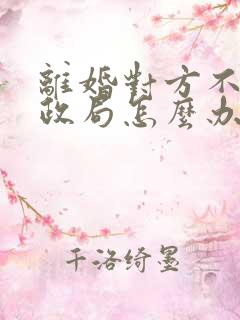 离婚对方不去民政局怎么办