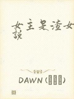 女主是渣女的小说