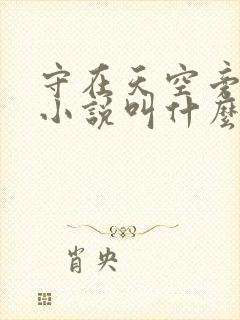 守在天空旁原著小说叫什么名字