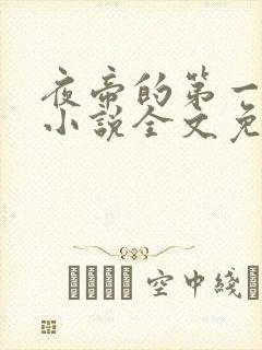 夜帝的第一狂妃小说全文免费阅读