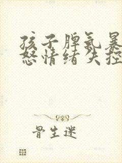 孩子脾气暴躁易怒情绪失控