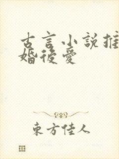 古言小说推荐先婚后爱