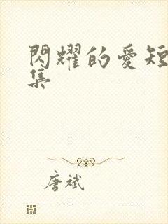 闪耀的爱短剧全集