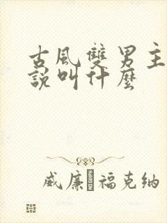 古风双男主的小说叫什么