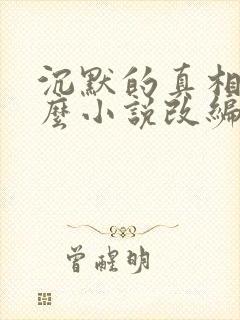 沉默的真相是什么小说改编的