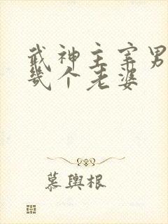 武神主宰男主有几个老婆