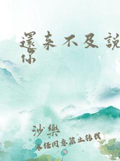 还来不及说我爱你