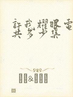 许我耀眼电视剧共多少集