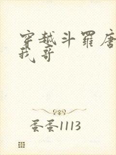 穿越斗罗唐三是我哥