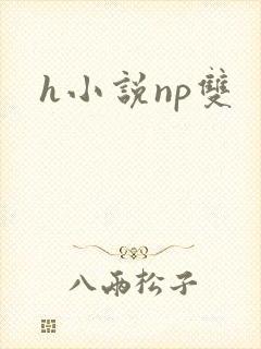 h小说np双