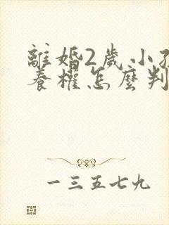 离婚2岁小孩抚养权怎么判定