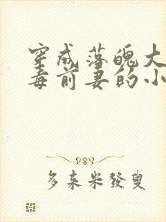 穿成落魄大佬恶毒前妻的小说