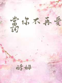 当你不再爱我歌词