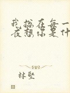 我总在每一个黑夜想你是什么歌
