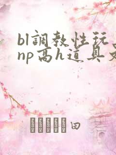 bl调教性玩具np高h道具文